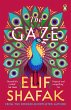The Gaze (eBook, ePUB) - Bild 1
