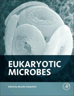 Cover Eukaryotic Microbes (eBook, PDF)