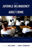 From Juvenile Delinquency to Adult Crime (eBook, PDF)