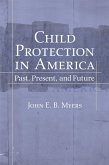 Child Protection in America (eBook, PDF)