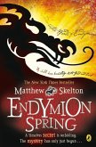 Endymion Spring (eBook, ePUB)