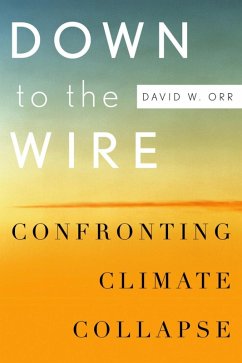 Down to the Wire (eBook, ePUB) - Orr, David W.