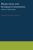 Projections and Interface Conditions (eBook, PDF)