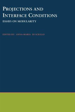 Projections and Interface Conditions (eBook, PDF)