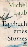 Tagebuch eines Sturzes