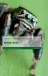 Animal Eyes (eBook, ePUB) - Bild 1