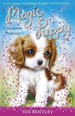 Magic Puppy: Classroom Princess (eBook, ePUB)