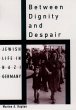 Between Dignity and Despair (eBook, PDF) - Bild 1