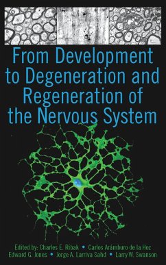 From Development to Degeneration and Regeneration of the Nervous System (eBook, PDF)