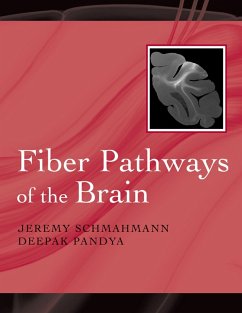 Fiber Pathways of the Brain (eBook, PDF) - Schmahmann, Jeremy D.; Pandya, Deepak N.