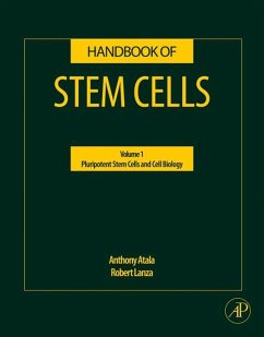 Cover Handbook of Stem Cells (eBook, ePUB)