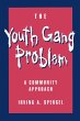 The Youth Gang Problem (eBook, PDF) - Bild 1