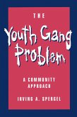 The Youth Gang Problem (eBook, PDF)