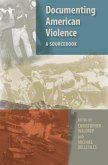 Documenting American Violence (eBook, PDF)