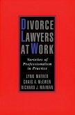 Divorce Lawyers at Work (eBook, PDF)