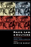 Race, Law, and Culture (eBook, PDF)