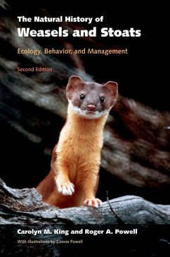 The Natural History of Weasels and Stoats (eBook, PDF) - King, Carolyn M.; Powell, Roger A.