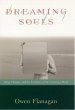 Dreaming Souls (eBook, PDF) - Bild 1
