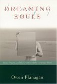 Dreaming Souls (eBook, PDF)