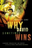 Why David Sometimes Wins (eBook, PDF)