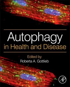 Autophagy in Health and Disease (eBook, ePUB)
