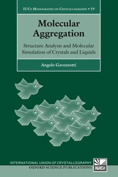 Molecular Aggregation (eBook, PDF) - Gavezzotti, Angelo