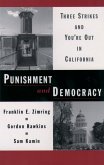 Punishment and Democracy (eBook, PDF)