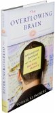 The Overflowing Brain (eBook, ePUB)