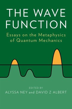 The Wave Function (eBook, PDF)