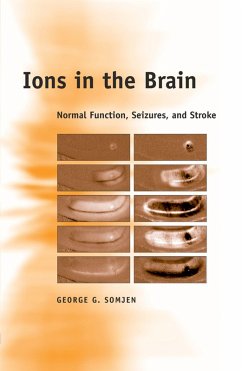 Cover Ions in the Brain (eBook, PDF)