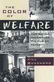 The Color of Welfare (eBook, ePUB)