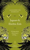 Jaguars and Electric Eels (eBook, ePUB)