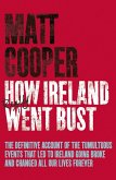 How Ireland Really Went Bust (eBook, ePUB)