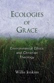 Ecologies of Grace (eBook, ePUB)