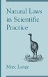 Natural Laws in Scientific Practice... - Bild 1