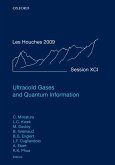 Ultracold Gases and Quantum Information (eBook, ePUB)
