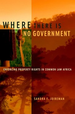 Cover Where There is No Government (eBook, PDF)