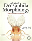 Atlas of Drosophila Morphology (eBook, ePUB)