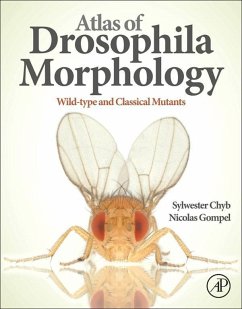 Atlas of Drosophila Morphology (eBook, ePUB) - Chyb, Sylwester; Gompel, Nicolas