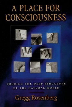 A Place for Consciousness (eBook, PDF) - Rosenberg, Gregg
