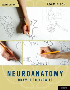 Neuroanatomy (eBook, PDF) - Fisch, Adam