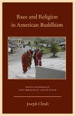 Race and Religion in American Buddhism (eBook, PDF)