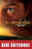 The Splitting Storm (eBook, ePUB)
