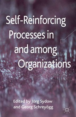 Self-Reinforcing Processes in and among Organizations (eBook, PDF)