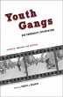 Youth Gangs and Community Intervention... - Bild 1