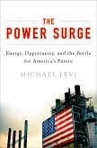 The Power Surge (eBook, ePUB) The Power Surge (eBook, ePUB)