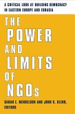The Power and Limits of NGOs (eBook, ePUB)