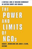The Power and Limits of NGOs (eBook, ePUB)