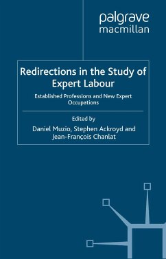 Redirections in the Study of Expert Labour (eBook, PDF)