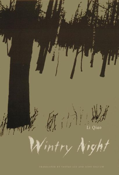 Wintry Night (eBook, ePUB)